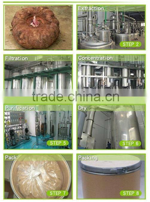 GMP Factory Supply Glucomannan Konjac Root Powder