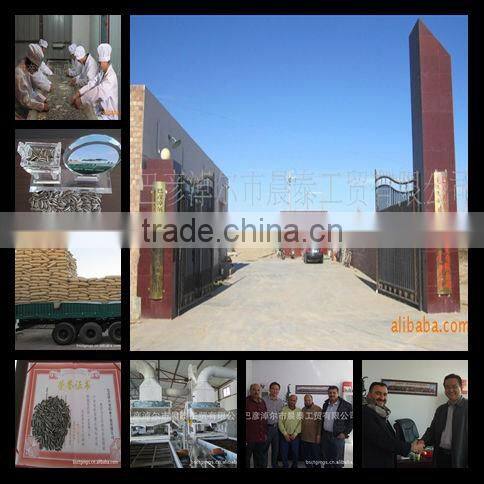 SUPPLY HIGH QUALITY CHINESE BAKERY GRADE SUNFLOWER SEEDS (24/64 280pcs-320pcs/50g)