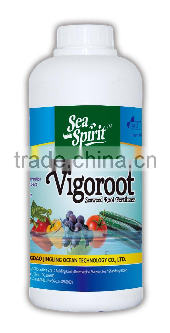 Seaweed extract Vigroot fertilizer