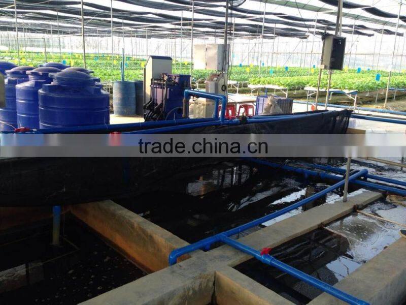 ozone generator commercial grade/ozone sanitating system/ozone sanitation machine