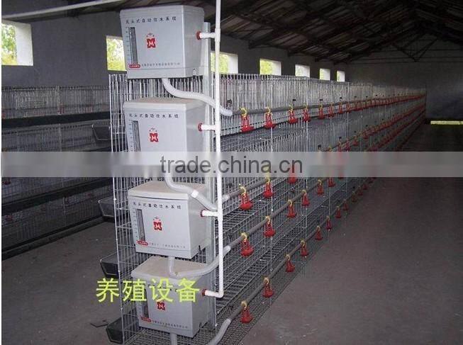 poultry cages for chick