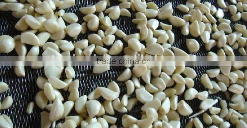 Belt Type CCD Camera Color Sorter for Garlic 086 371 65866393