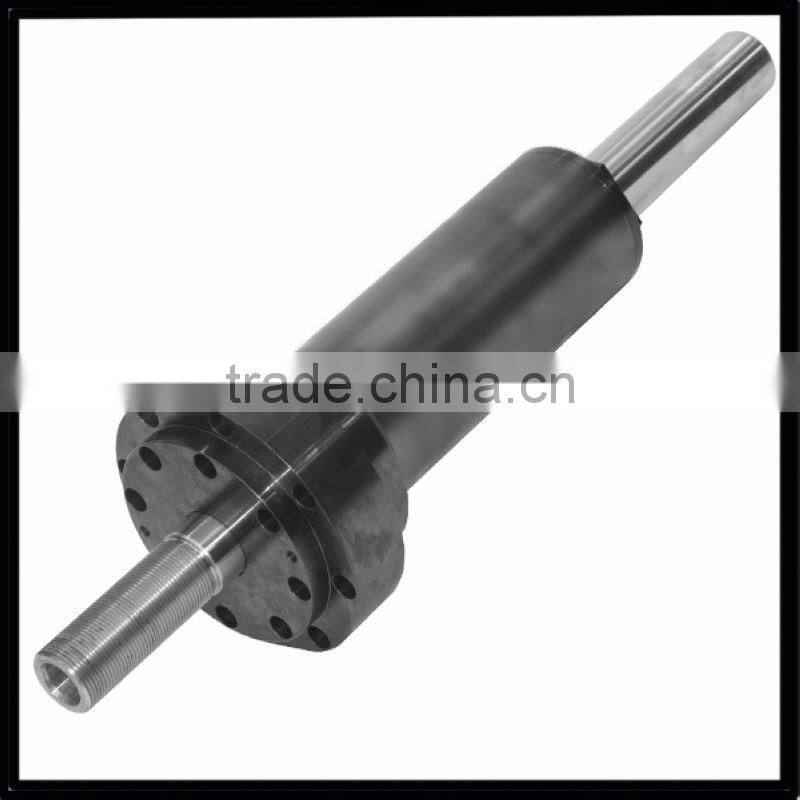 famous Double Piston Hydraulic Cylinder