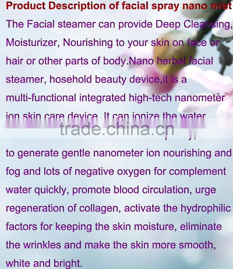 Nano Facial Handy mist Mini Humidifier Facial Spraying factory price