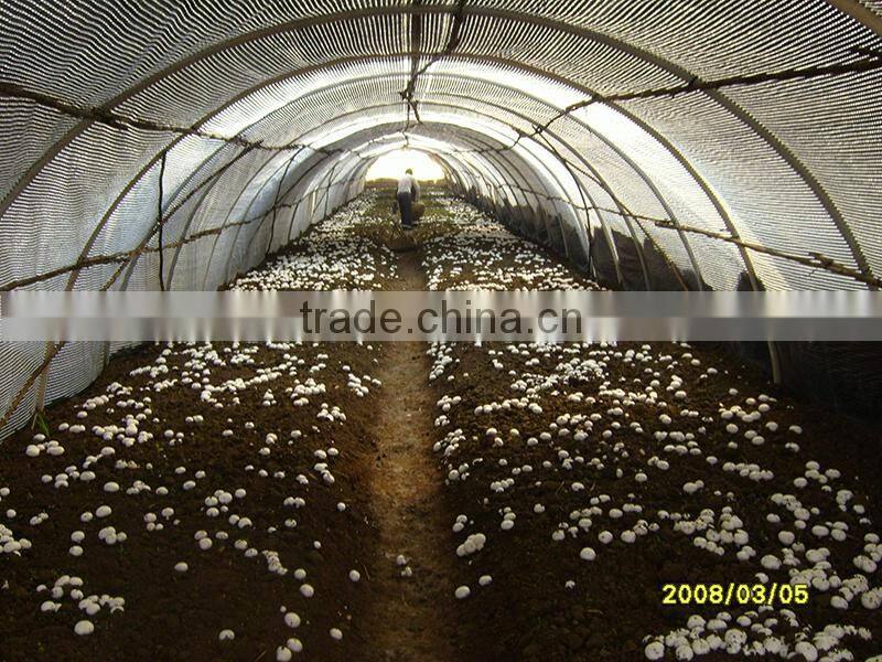 Mushroom greenhouse film, plastic covering film for mushroom growing house