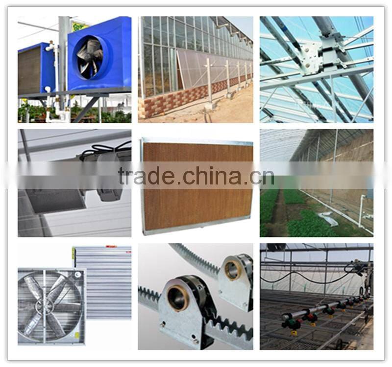 Different Models of Venlo glass multi-tunnel green house With Good After-sale Service