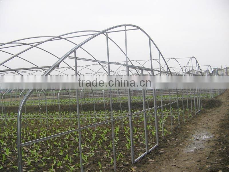 Vegetable &Fruit Used Pvc Greenhouse