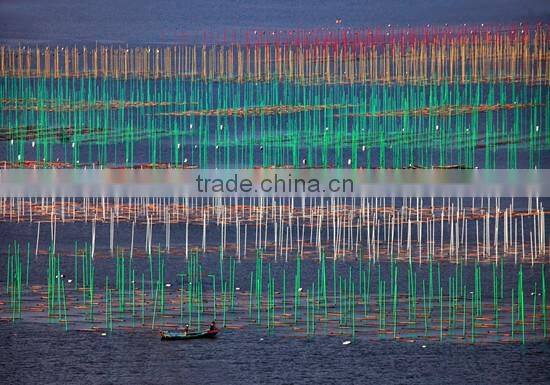 Easily install long service life Fiberglass farming poles