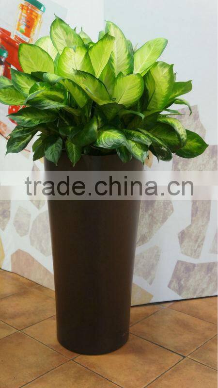 Fiberglass flower pot