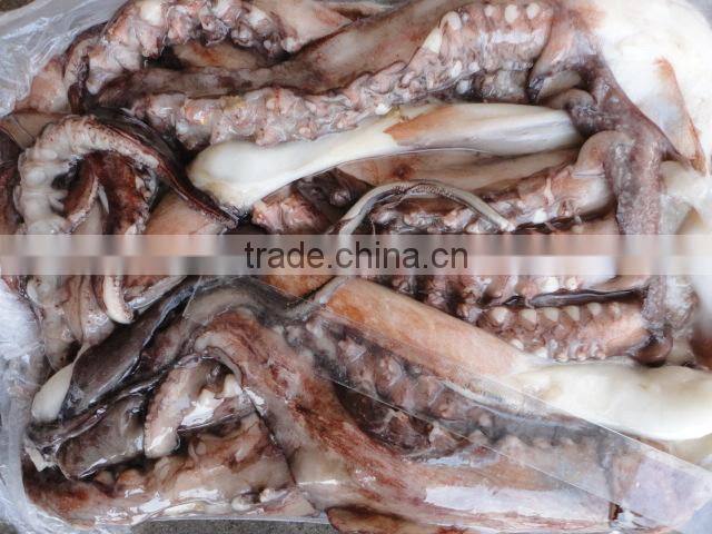 frozen giant squid tentacles