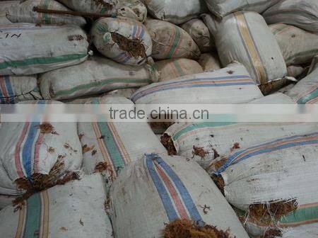 Eucheuma Spinosum With High Quality