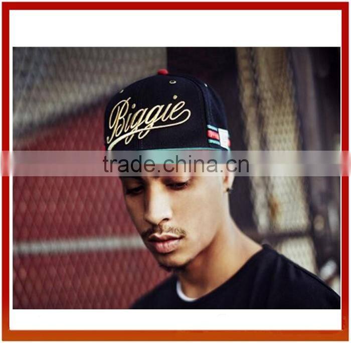 Top Quality Embroidery Customize Snapback Hats/Hip Hop Snapback caps