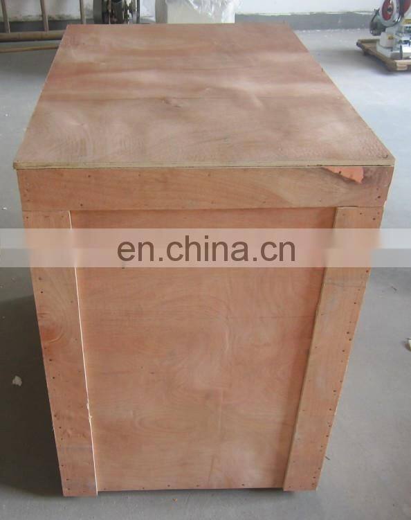 Customer highly praised hot sale automatic capsule filling machine price