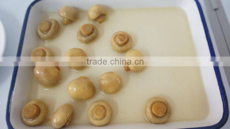 Canned boiled mushrooms champignons whole/cutted