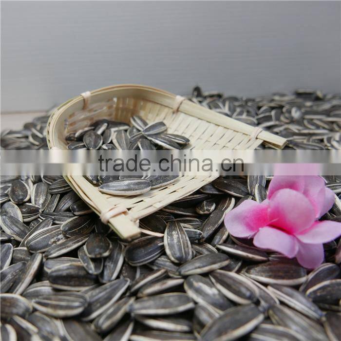 Hulled hybrid of Sunflower Seeds China Origin 5009 New corp