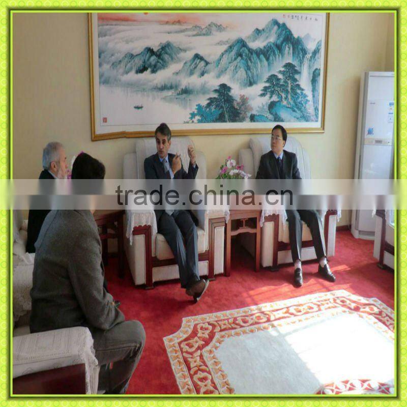 Steel Galvanizing line /machine metal manufacturer