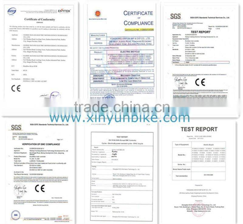 36V 250W 20inch rear brushless motor kit mini new cheap foldable e-bike XY-EB003F