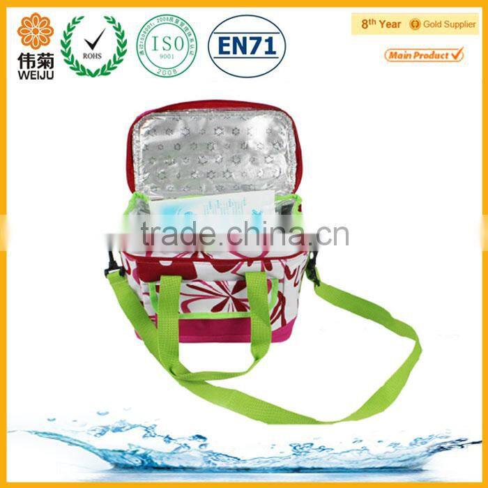 Easy Carring up Lunch Cooler Bags for Women with Best Price