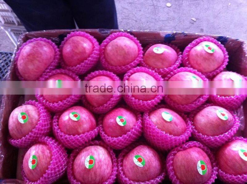 mature natural red apple wholesale fuji apple china with fresh apple price