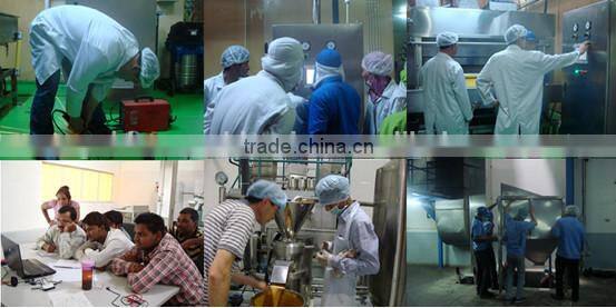 Hot Sale Stainless Steel High Capacity Popular Peanut Chopper Equipment