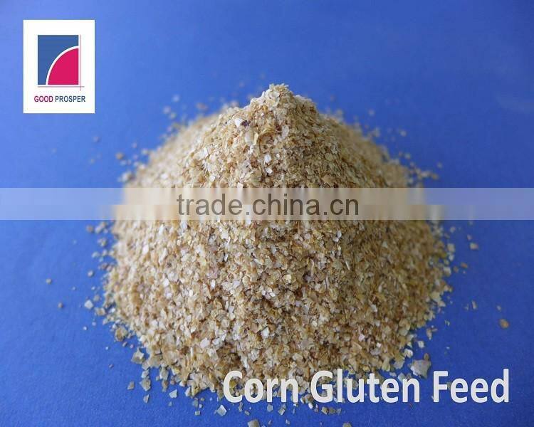 Corn Gluten Feed For Feed Best Price