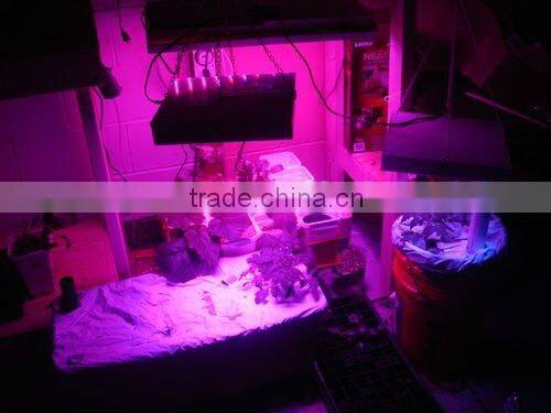 300w led grow light vegetable with 8 pcs fans