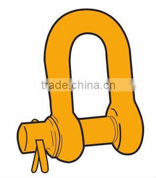 D Forelock Shackle Fitted with Oval Pin