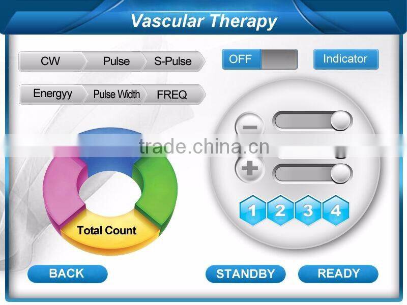 JMSHR Spa/Salon/Clinic/Hospital Use Popular 980nm Diode Laser Rosaces Machine