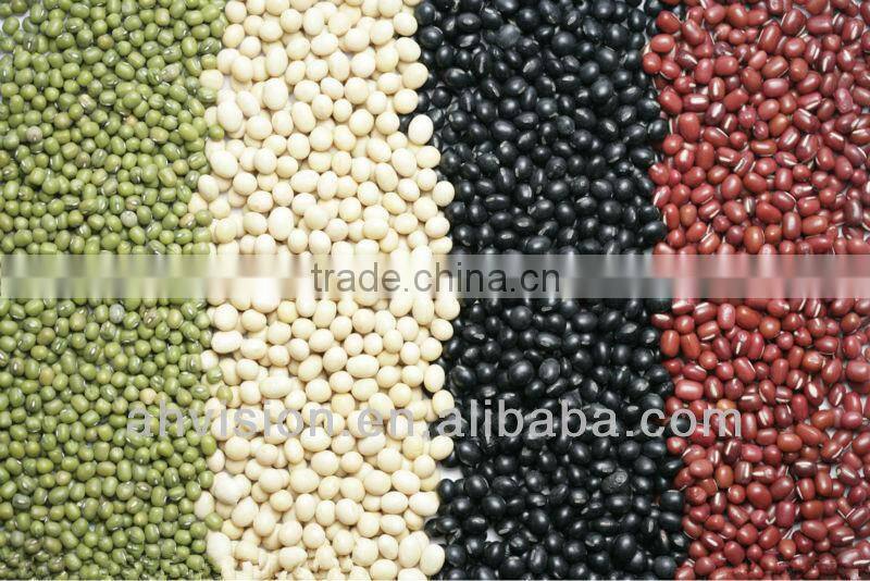VSEE red bean color sorter
