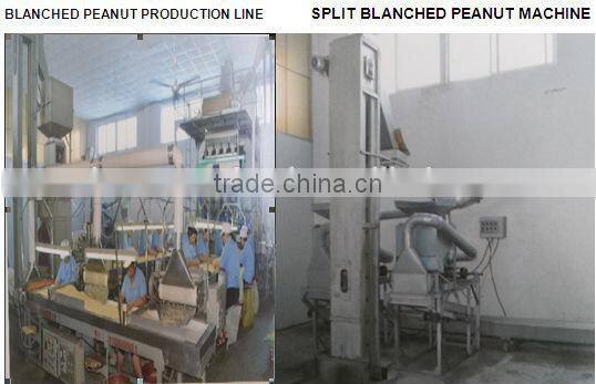 shandong blanched peanut kernel 35/39