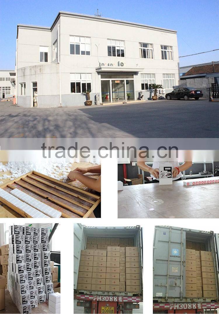 Walrus Brand 1/4OZ 96% Pure Camphor Tablets/Blocks