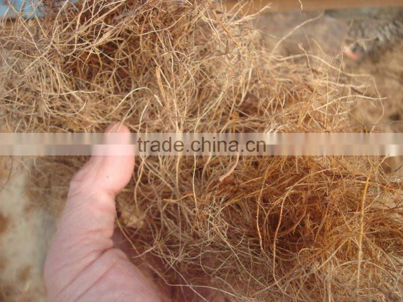 high performance palm fibre extracting machine 75KW from China