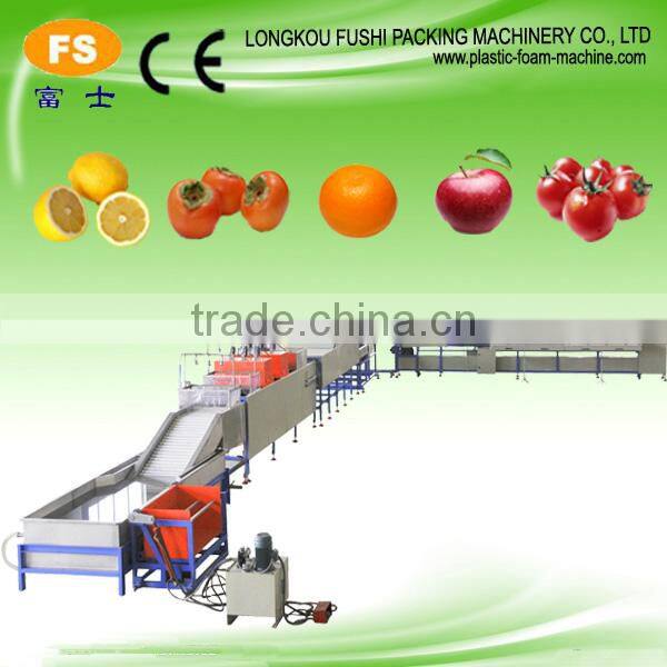 Fruit and Vegetable Grader Machine
