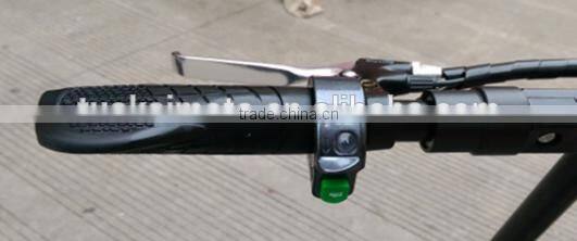 Top quality alloy frame 36V Samsung lithium battery 250W Brushless stand up electric scooter (TKE250-5)