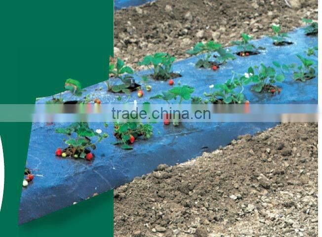 Plastic garden film for fruit planting