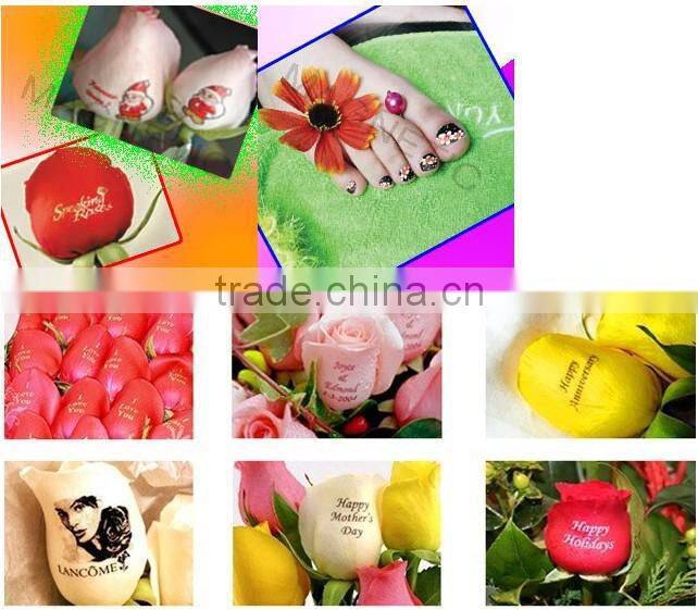 hot sale and low price and fast speed digital nail printer for beauty salon with computer