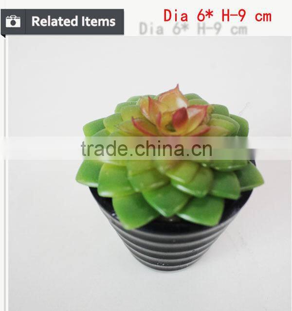 Wholesale artificial plants mini succulents for indoor decoration