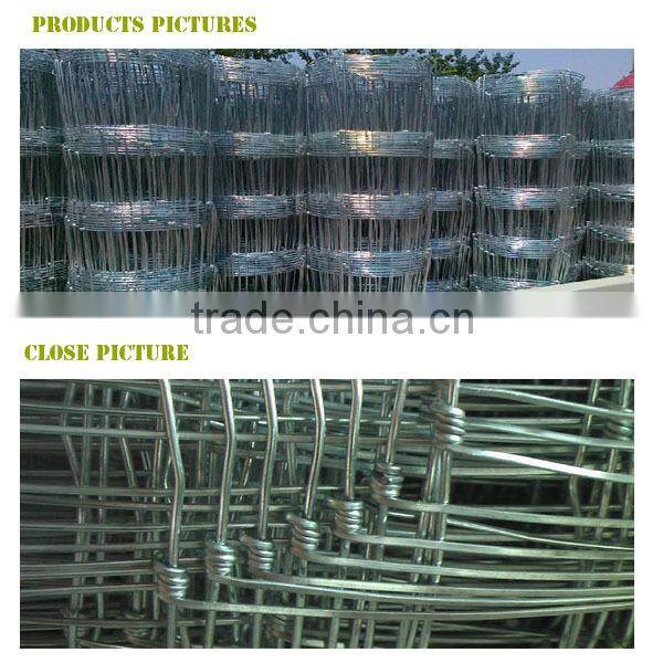 reliable quality hot dipped galvanized grass land fence