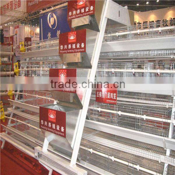 best price automatic egg collection A type hot galvanized & electric galvanzied chicken layer cage price chicken cage