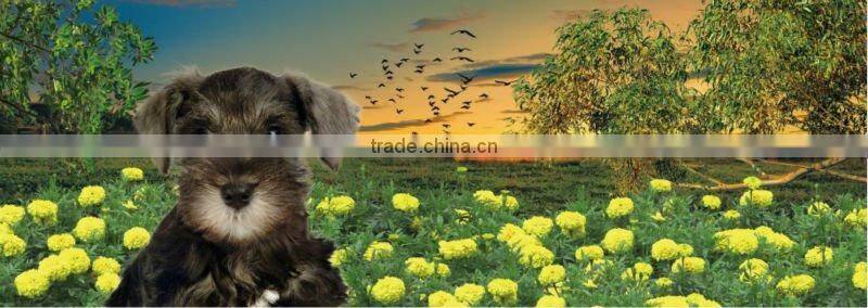 2012 promotional animation 3d bookmark