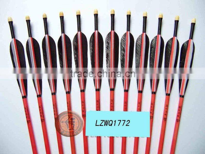 Feather Arrows LZWQ1764