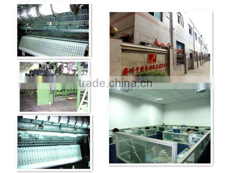 2013-cheerslife swiss lace fabric