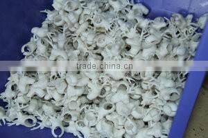 Animal Empire PVC Animal Ring Toys, soft plastic wild animal ring toy for kids,pvc animal ring toy QQ228846