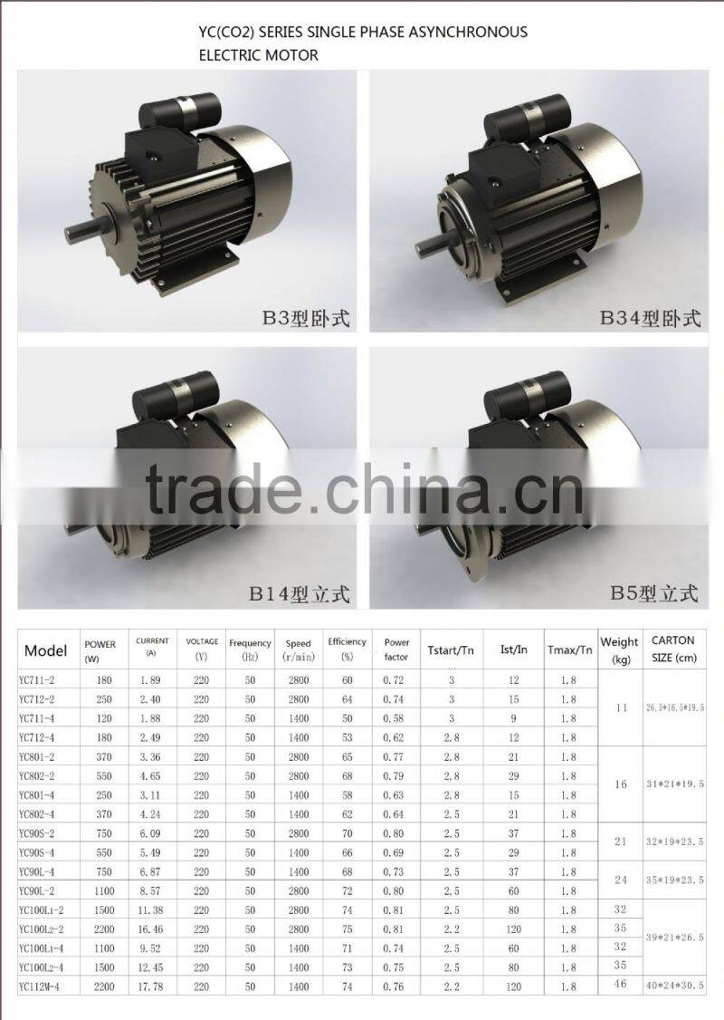 YC(CO2) series single-phase electric motor
