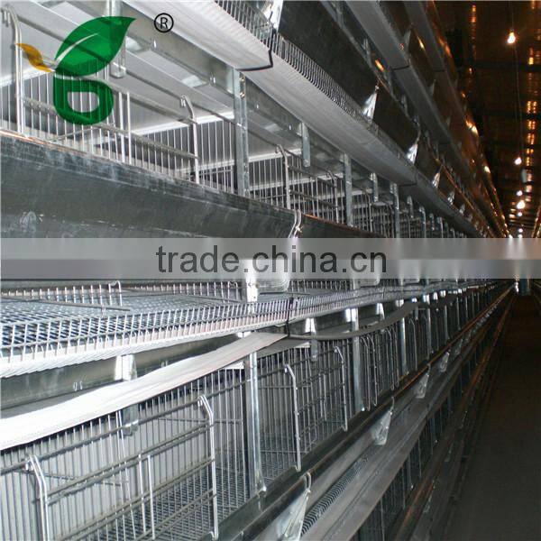H type automatic layer poultry cages for Nigeria