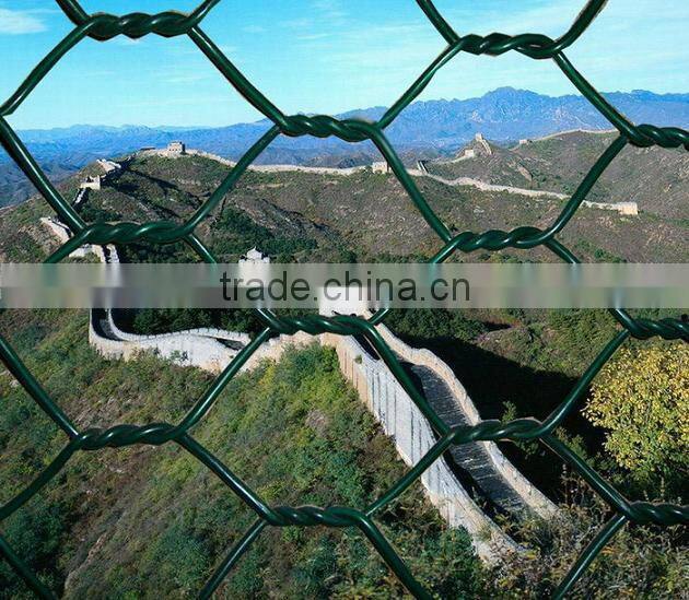 Anping PVC coated Hexagnal Wire Mesh