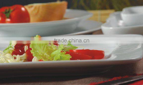 Cheap Fine Porcelain Dinnerware