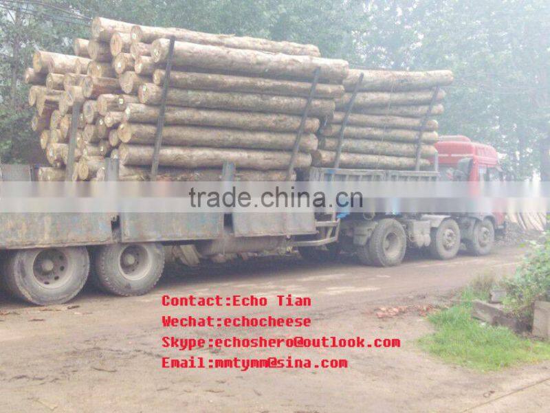 E2 glue popular core plywood melamine faced plywood board price