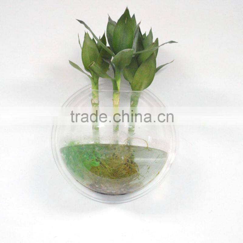 ecofriendly decorative wall mounted clear acrylic aquarium