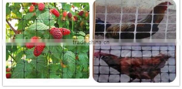 PP anti-bird net(professional factory,reasonable price with high quality)